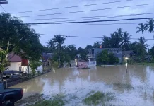 Pemprov Sultra Gerak Cepat Tangani Korban Banjir Kali Wanggu