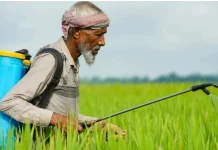 Krisis Alat Pelindung Diri pada Petani Penyemprot Pestisida