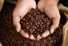 Kebutuhan Kopi di Baubau Besar, Produk Lokal Sulit Terserap