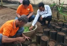 Lapas Baubau Latih WBP Budidaya Bayam di Polybag