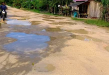 Selama 36 Tahun Menanti Aspal, Jalan Desa Pongkowulu Penuh Kubangan