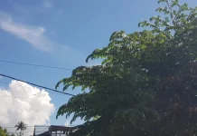 Prakiraan Cuaca Sulawesi Tenggara 19 Mei 2026