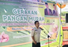 GPM Digelar Tiga Hari, Pemprov Intervensi Inflasi Baubau