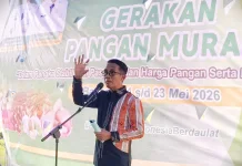 Ribuan Warga Baubau Kehilangan Bantuan akibat Perubahan Desil