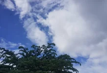Prakiraan Cuaca Sulawesi Tenggara 23 Mei 2026