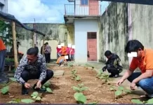 Lapas Baubau Tanam Bibit Terong Bersama Warga Binaan