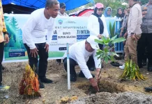 Peringati Hari Keanekaragaman Hayati, Bupati Buton Selatan Pimpin Penghijauan