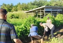 Polisi dan Warga di Buton Utara Gelar Jumat Bersih
