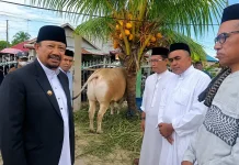 Bupati Serahkan Sapi Kurban Presiden di Kampung Nelayan Watolo