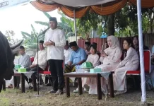 Polres Baubau Kurban 13 Ekor Sapi