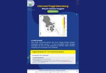 Prakiraan Tinggi Gelombang Sultra 1 - 4 Juni 2026