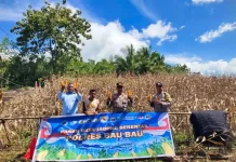 Petani Binaan Polsek Sorawolio Sukses Panen Jagung Pakan