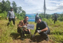 PNM Tanam 29.000 Pohon, Perluas Program Pemberdayaan Masyarakat
