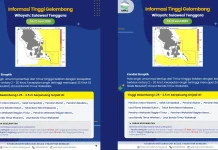 Prakiraan Tinggi Gelombang Sultra 14 - 17 Juni 2026