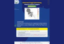 Prakiraan Tinggi Gelombang Sultra 17 – 20 Juni 2026