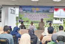 Wawali Baubau Dorong Transformasi Pertanian, Dinas Teknis Perkuat Pendampingan