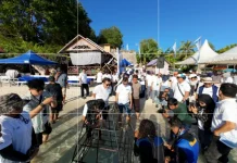PNM Baubau dan ASDP Kolaborasi Tanam Terumbu Karang