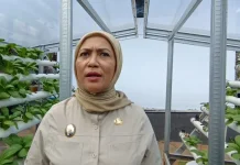 Wawali Baubau Dorong Intensifikasi Pertanian Redam Inflasi
