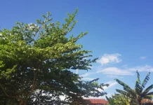 Prakiraan Cuaca Sulawesi Tenggara 27 Juni 2026