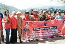PDIP Baubau Turun ke Sawah Dukung Ketahanan Pangan