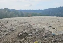 DLH Baubau Hidupkan Kembali TPS3R Demi Kurangi Timbunan Sampah