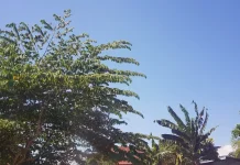 Prakiraan Cuaca Sulawesi Tenggara 13 Juli 2026