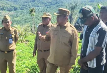 Bupati Buton Selatan Petakan Potensi Pertanian Puncak Wawoangi