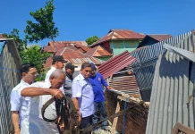 Angin Kencang dan Pohon Tumbang Terjang Bukit Wolio Indah, BPBD Lakukan Pendataan