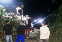 BPBD Baubau Tangani Pohon Tumbang meski Terkendala Personel dan Peralatan