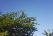 Prakiraan Cuaca Sulawesi Tenggara 21 Juli 2026