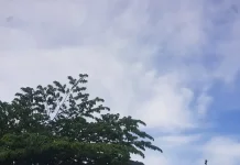 Prakiraan Cuaca Sulawesi Tenggara 22 Juli 2026