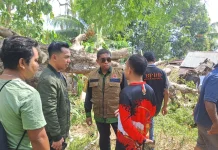 Pohon Tumbang Timpa Rumah di Baubau, Tiga Warga Jadi Korban