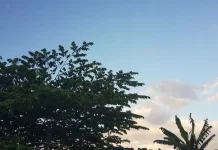 Prakiraan Cuaca Sulawesi Tenggara, Senin 27 Juli 2026