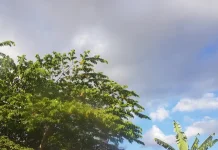 Prakiraan Cuaca Sulawesi Tenggara 10 Agustus 2026