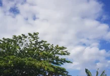Prakiraan Cuaca Sulawesi Tenggara 11 Agustus 2026