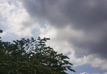 Prakiraan Cuaca Sulawesi Tenggara 12 Agustus 2026