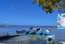 Gempa M7,7 di Flores, Air Laut Naik hingga 0,5 Meter di Kepulauan Buton