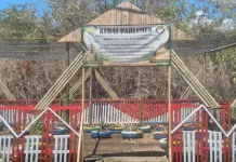 Kedai Parlemen Inovasi Ketahanan Pangan Sekretariat DPRD Baubau