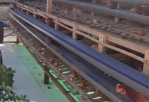 Tercatat 4 Pelaku Usaha Minat Peternak Ayam Petelur di Baubau Rendah