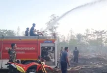 Damkar Baubau Tangani Tiga Peristiwa Karhutla dan Penyelamatan dalam Sehari