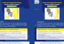 Prakiraan Tinggi Gelombang Sultra 21 – 24 Agustus 2026