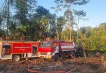 Empat Kebakaran Lahan Terjadi di Baubau dalam Sehari, Damkar Imbau Warga Waspada