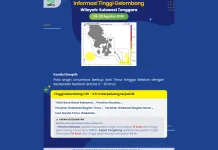 Prakiraan Tinggi Gelombang Sultra 26 – 29 Agustus 2026