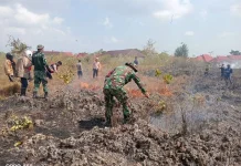 Babinsa dan Tim Gabungan Padamkan Kebakaran Lahan Wakatobi