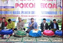 Bantuan Pemkab Buton Dongkrak Hasil Panen Matanauwe