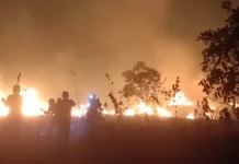 BPBD Bombana Padamkan Titik Api di Watu-Watu