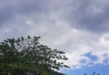 Prakiraan Cuaca Sulawesi Tenggara 5 September 2026