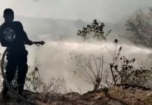 Kolaborasi Damkar Baubau dan Polisi Percepat Penanganan Kebakaran di Dua Lokasi