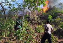 Lahan Terbakar di Desa Kamelanta Buton Berhasil Dipadamkan