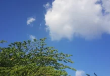 Prakiraan Cuaca Sulawesi Tenggara 15 September 2026